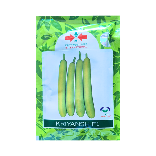 Kriyansh Bottle Gourd Seeds - East West | F1 Hybrid | Buy Online Now