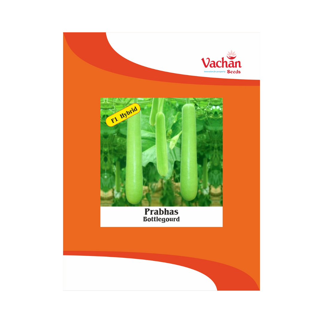 Prabhas Bottle Gourd Seeds - Vachan | F1 Hybrid | Buy Online Now