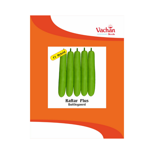 Raftar Plus Bottle Gourd Seeds - Vachan | F1 Hybrid | Buy Online Now