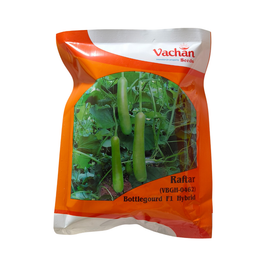 Raftar (VBGH-0462) Bottle Gourd Seeds - Vachan Seeds | F1 Hybrid | Buy Now