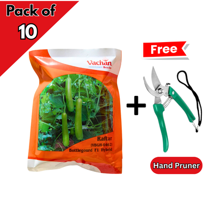 Raftar (VBGH-0462) Bottle Gourd Seeds