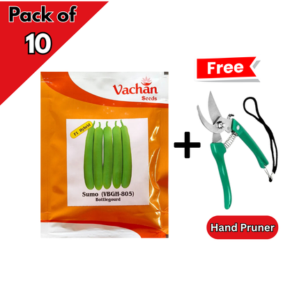 Sumo (VBGH-805) Bottle Gourd Seeds