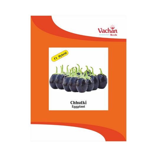 Chhutki Brinjal Seeds - Vachan | F1 Hybrid | Buy Online Now