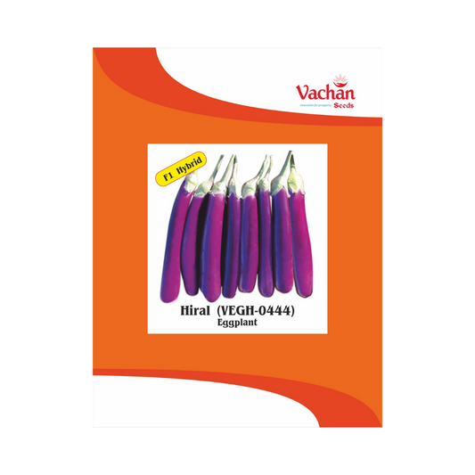 Hiral (VEGH-0444) Brinjal Seeds - Vachan | F1 Hybrid | Buy Online Now