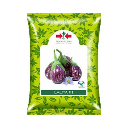 Lalita Brinjal Seeds - East West | F1 Hybrid | Buy Online at Best Price