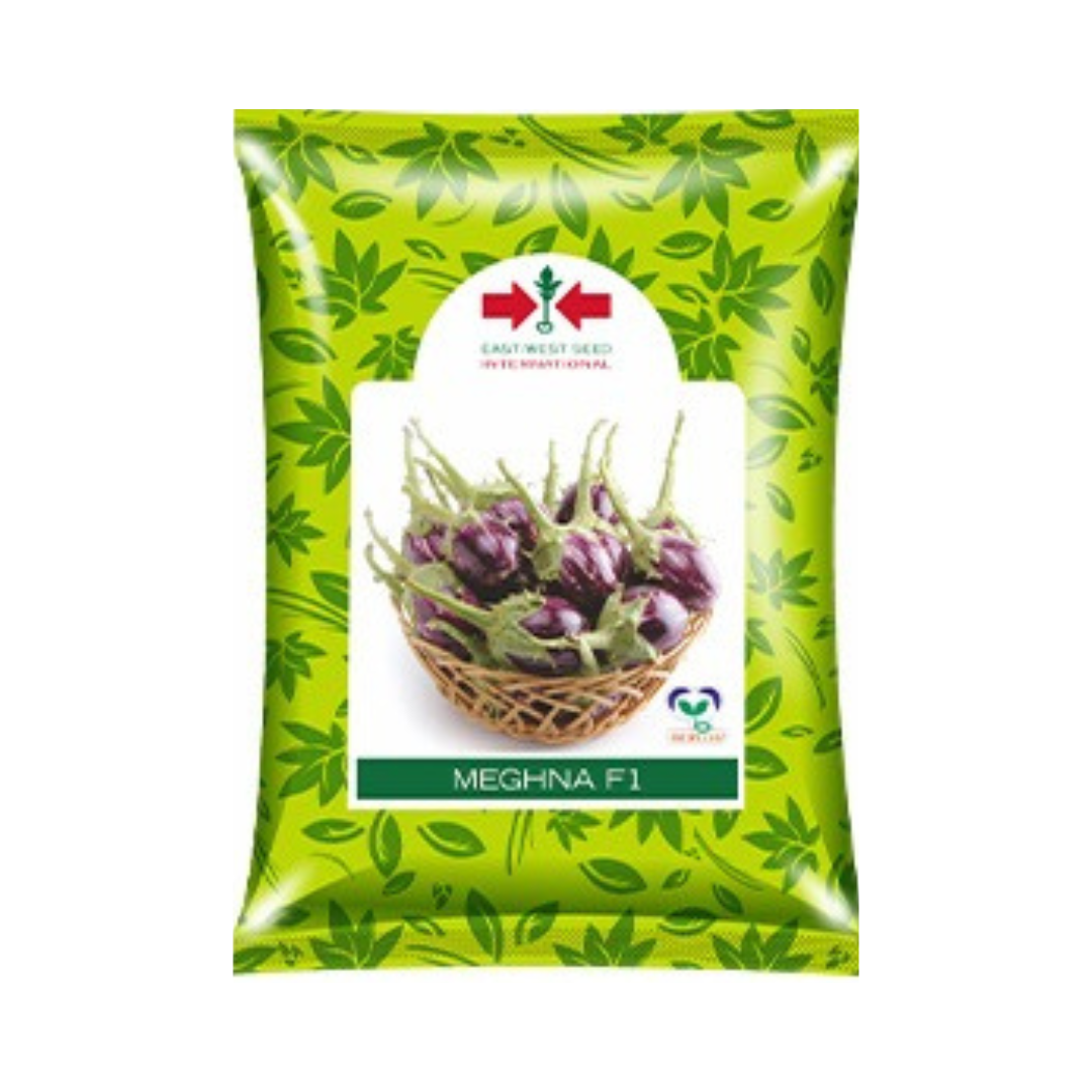 Meghna Brinjal Seeds - East West | F1 Hybrid | Buy Online at Best Price
