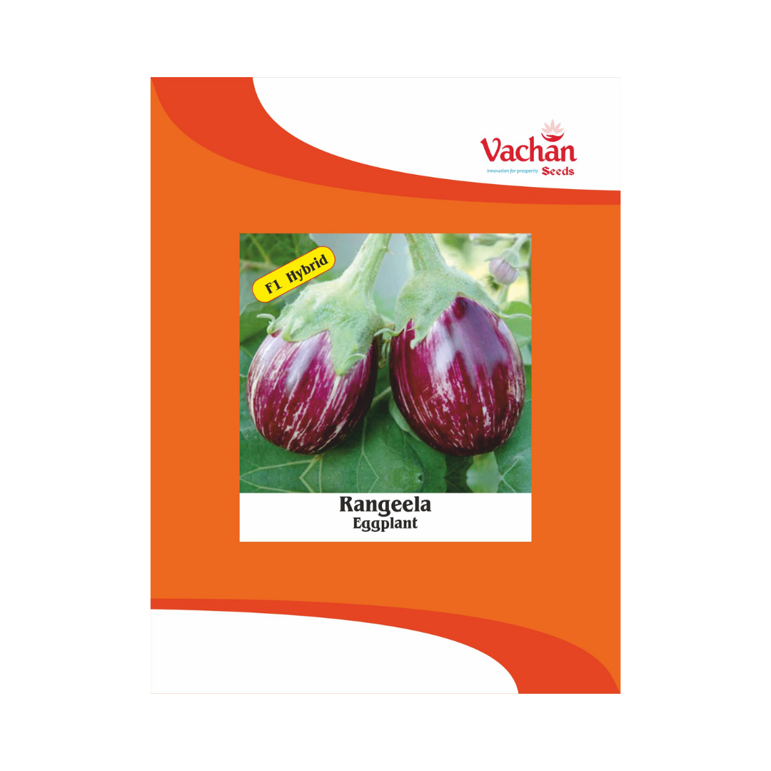 Rangeela Brinjal Seeds - Vachan | F1 Hybrid | Buy Online Now - DesiKheti