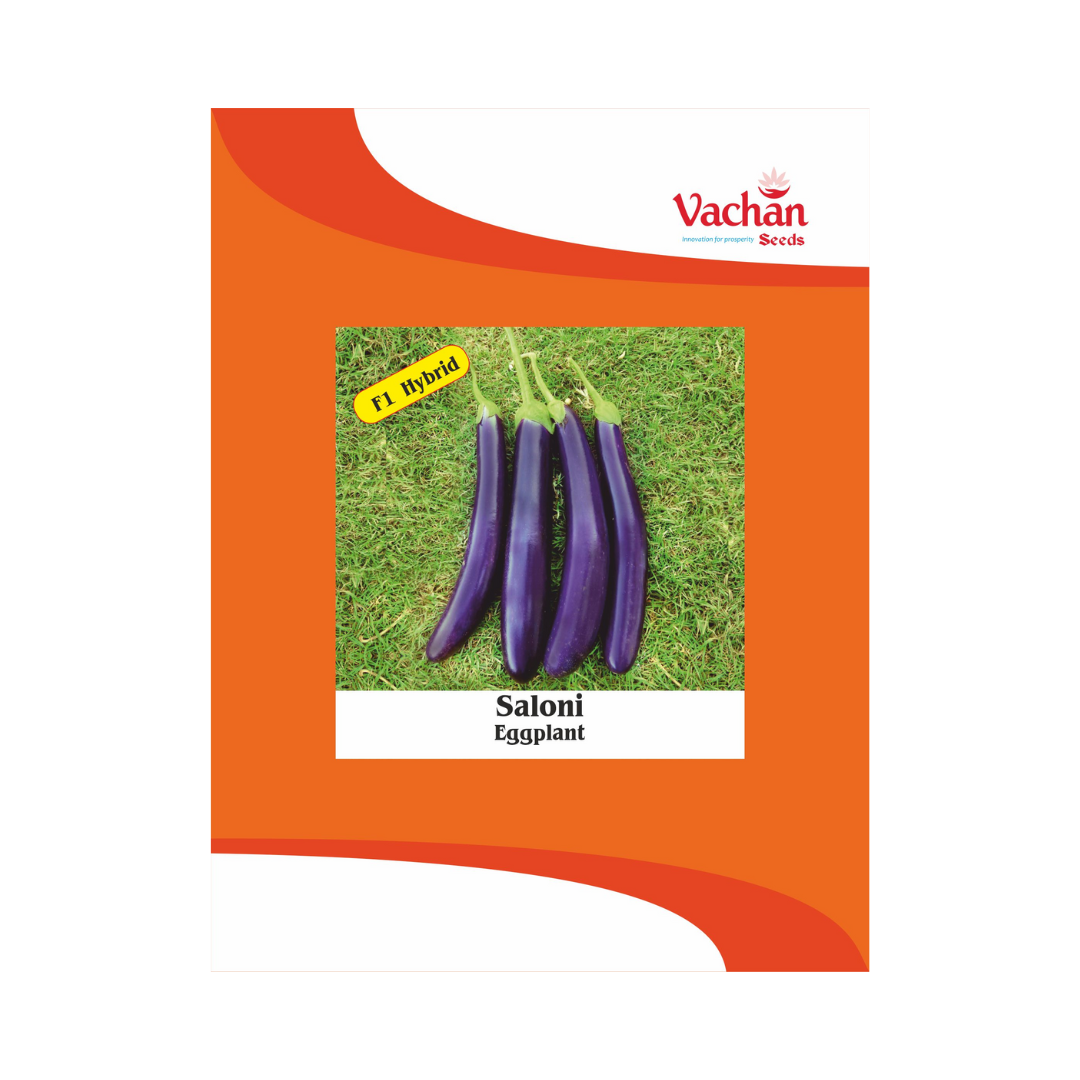 Saloni Brinjal Seeds - Vachan | F1 Hybrid | Buy Online Now - DesiKheti