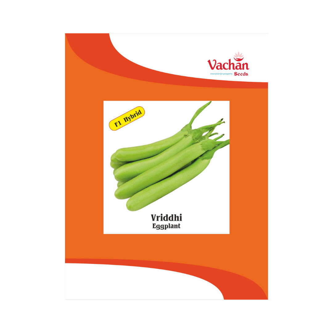 Vriddhi Brinjal Seeds - Vachan | F1 Hybrid | Buy Online Now - DesiKheti