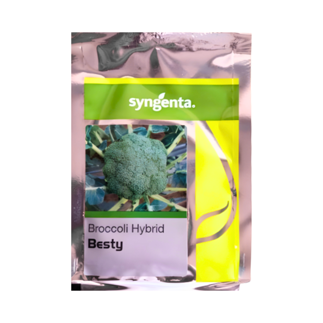 Besty Broccoli Seeds - Syngenta | F1 Hybrid | Buy Online Now - DesiKheti