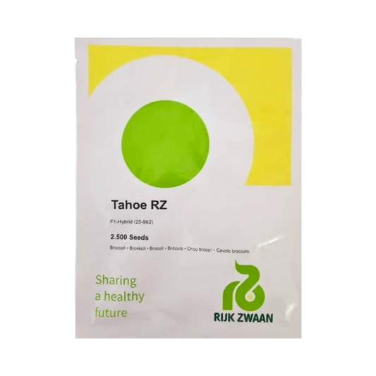 Tahoe RZ Broccoli Seeds - Rijk Zwaan | F1 Hybrid | Buy Online Now