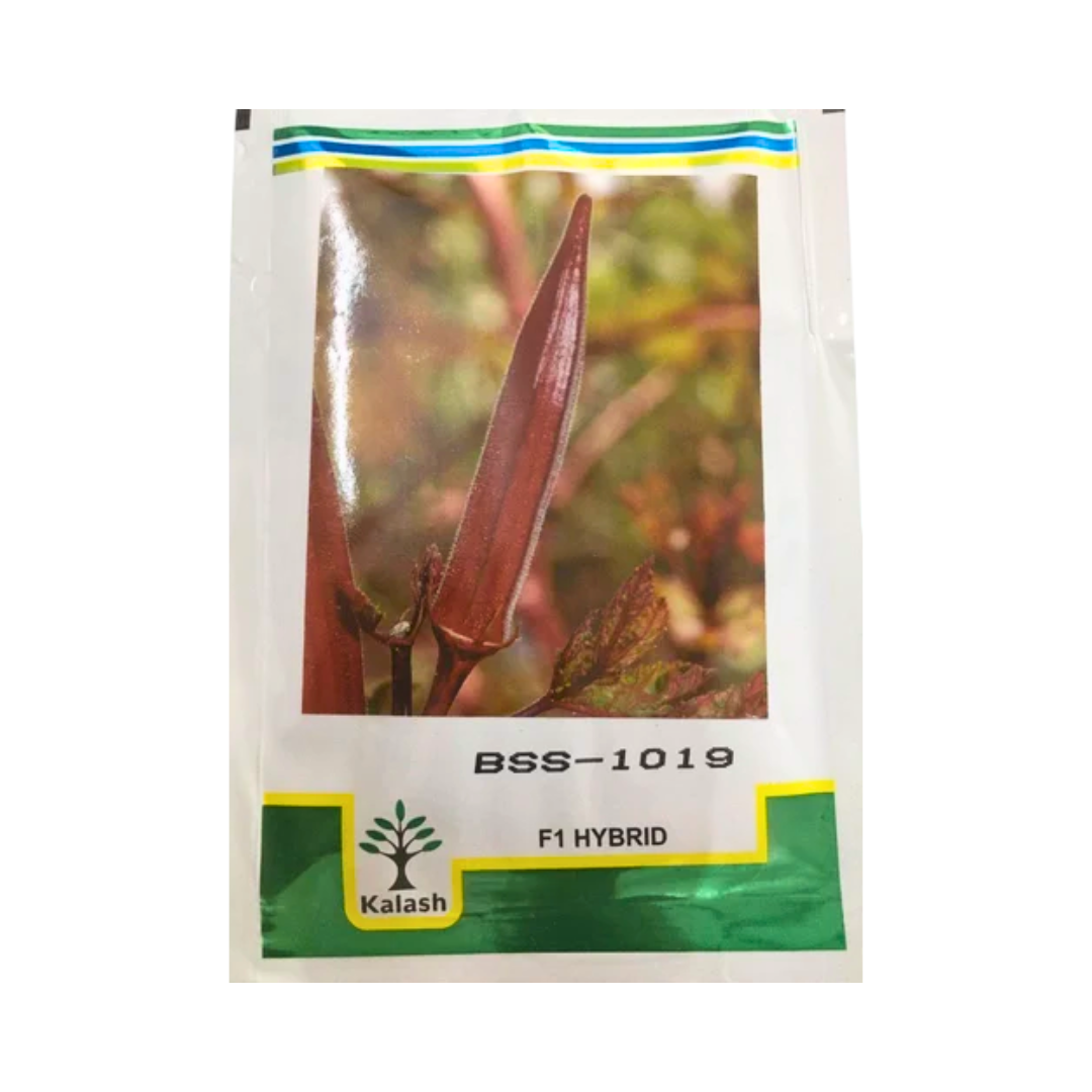 BSS 1019 Red Bhendi Seeds - Kalash | F1 Hybrid | Buy Online Now