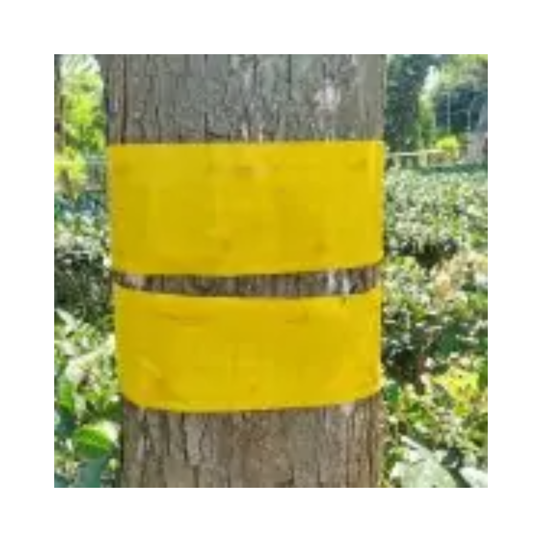 BARRIX Magic Stickers Roll - Yellow