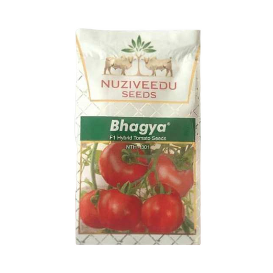 Bhagya Tomato Seeds - Nuziveedu | F1 Hybrid | Buy Online at Best Price