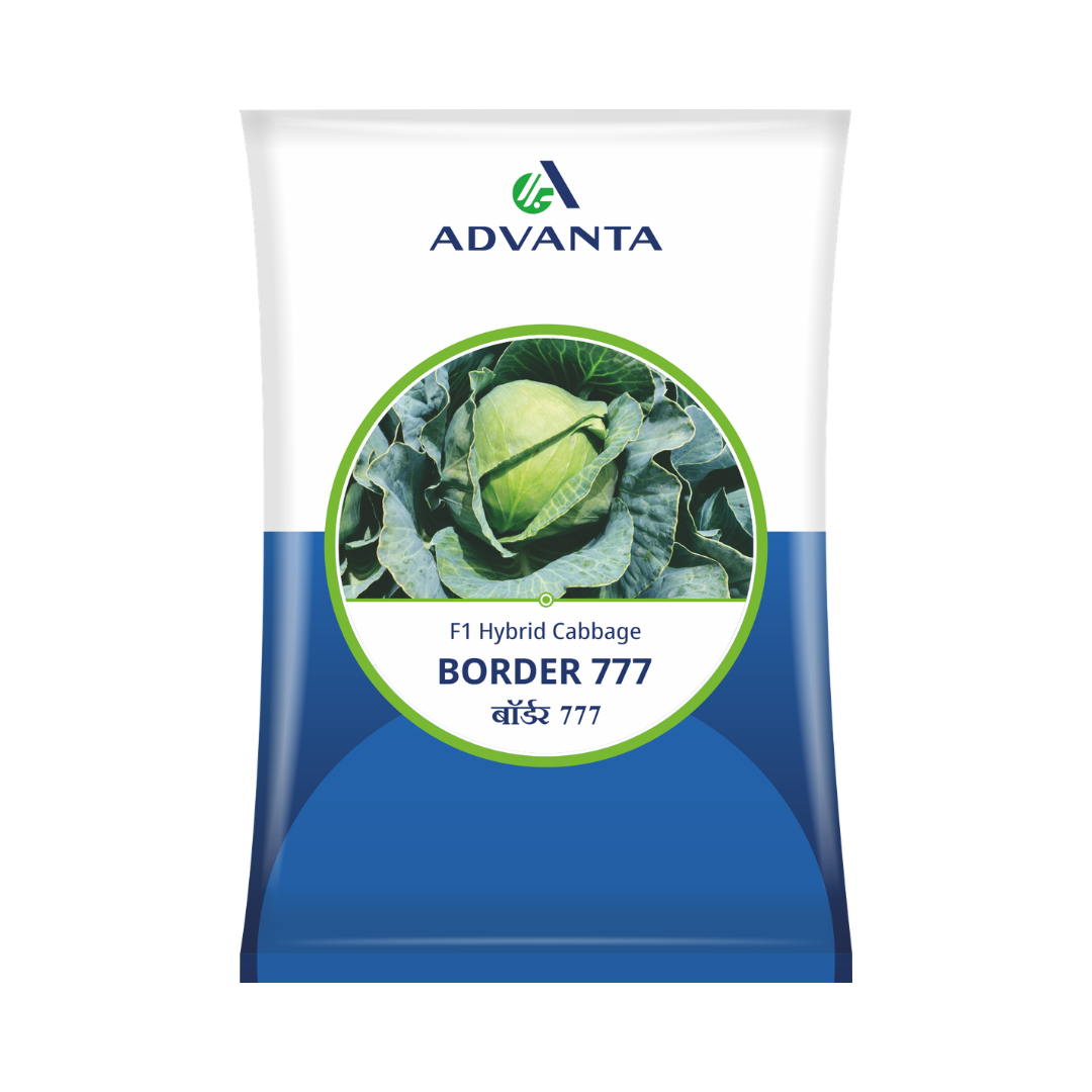 Border 777 Cabbage Seeds - Advanta | F1 Hybrid | Buy Online at Best Price