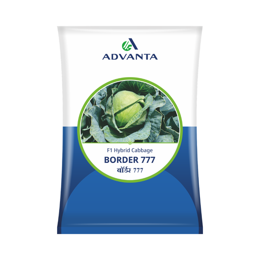 Border 777 Cabbage Seeds - Advanta | F1 Hybrid | Buy Online at Best Price
