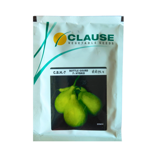 CBH - 7 Bottle Gourd Seeds - HM Clause | F1 Hybrid | Buy Online at Best Price