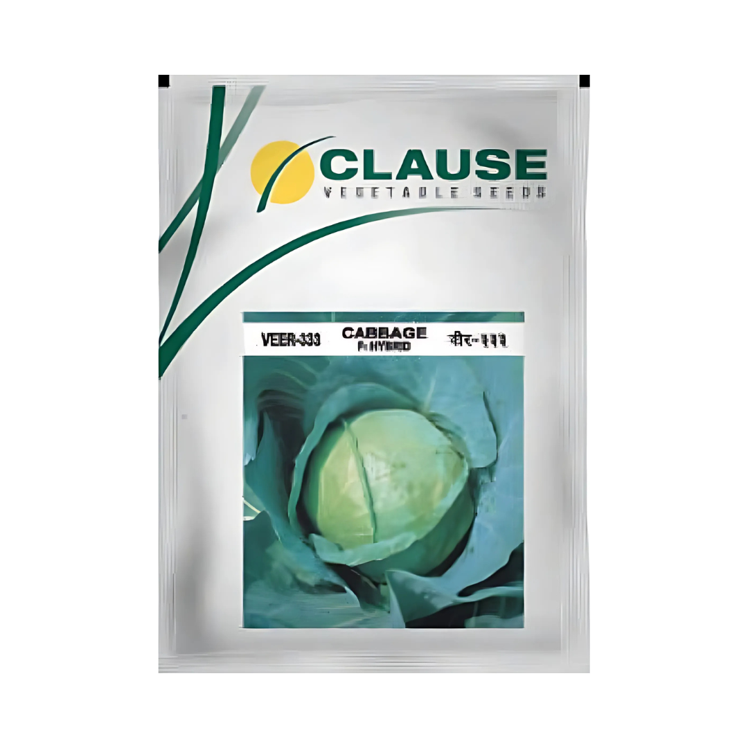 Buy Cabbage Seeds Online in India at Best Price from Trusted Brands ...