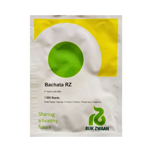 Bachata RZ Capsicum Seeds - Rijk Zwaan | F1 Hybrid | Buy Online Now
