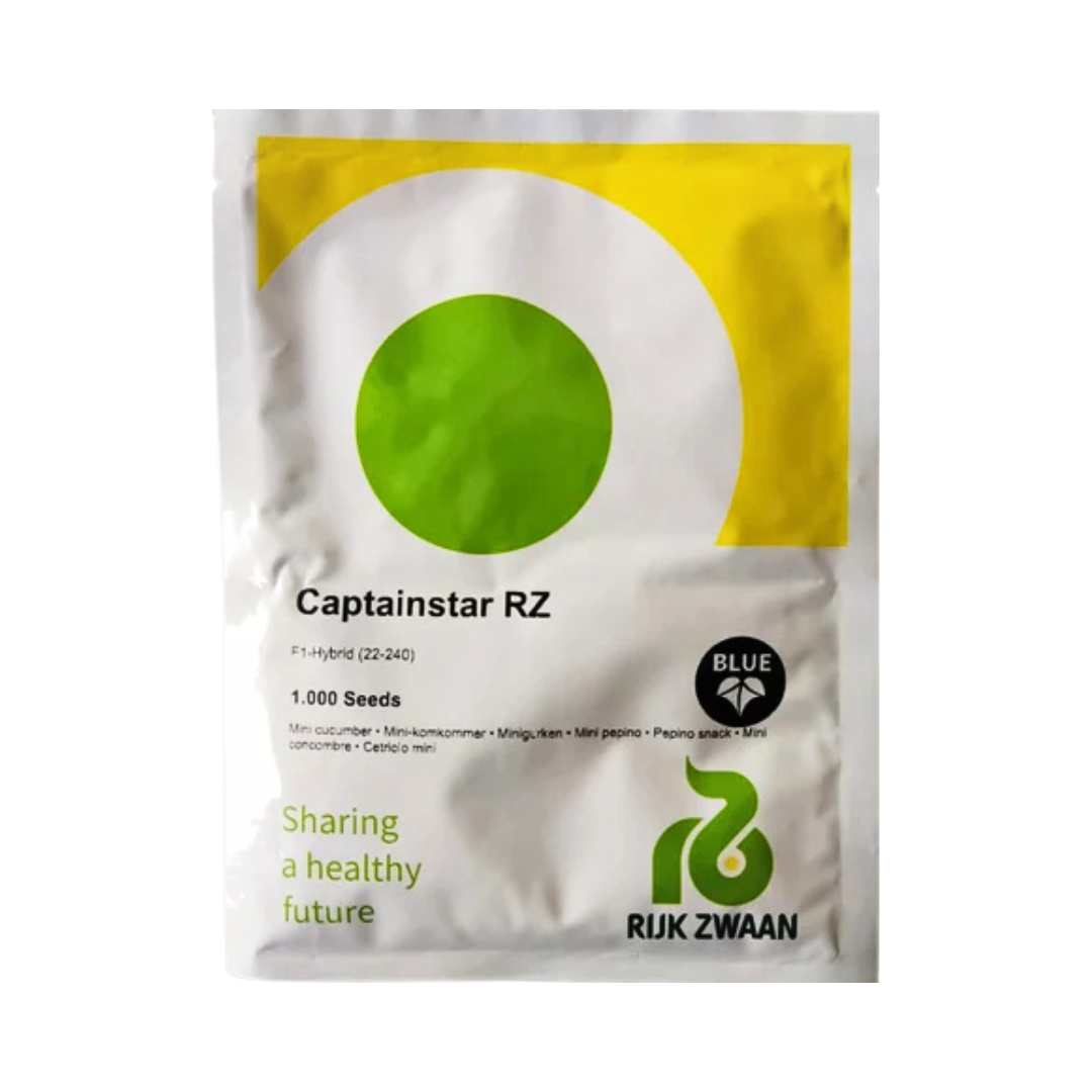 Captainstar RZ Mini Cucumber Seeds - Rijk Zwaan | F1 Hybrid | Buy Now