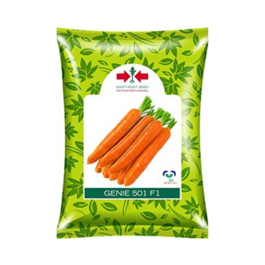 Genie 501 Carrot Seeds