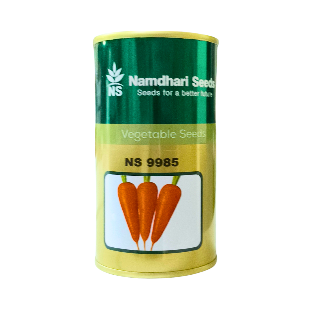 NS 9985 Carrot Seeds - Namdhari | F1 Hybrid | Buy Online at Best Price