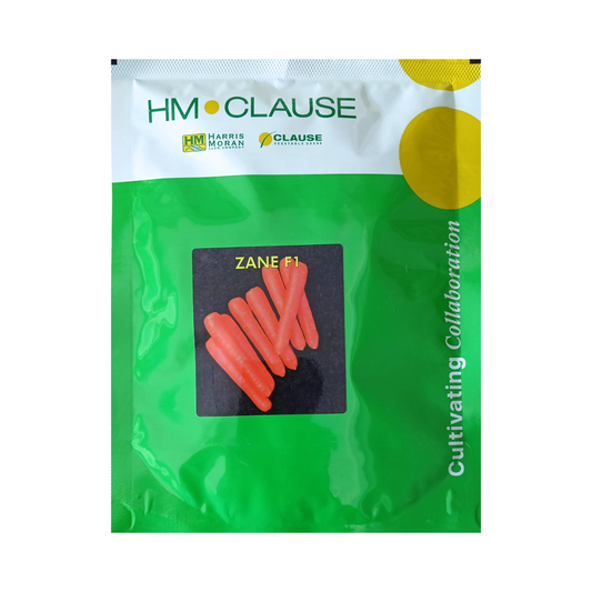 Zane Carrot Seeds - HM Clause | F1 Hybrid | Buy Online Now - DesiKheti
