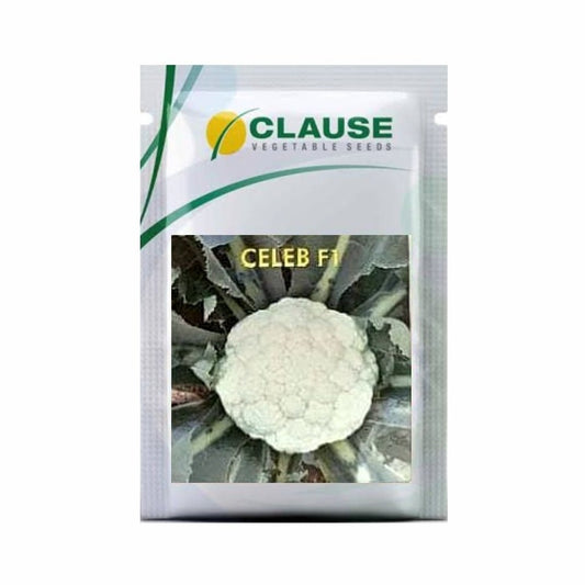 Celeb Cauliflower Seeds | Buy Online At Best Price