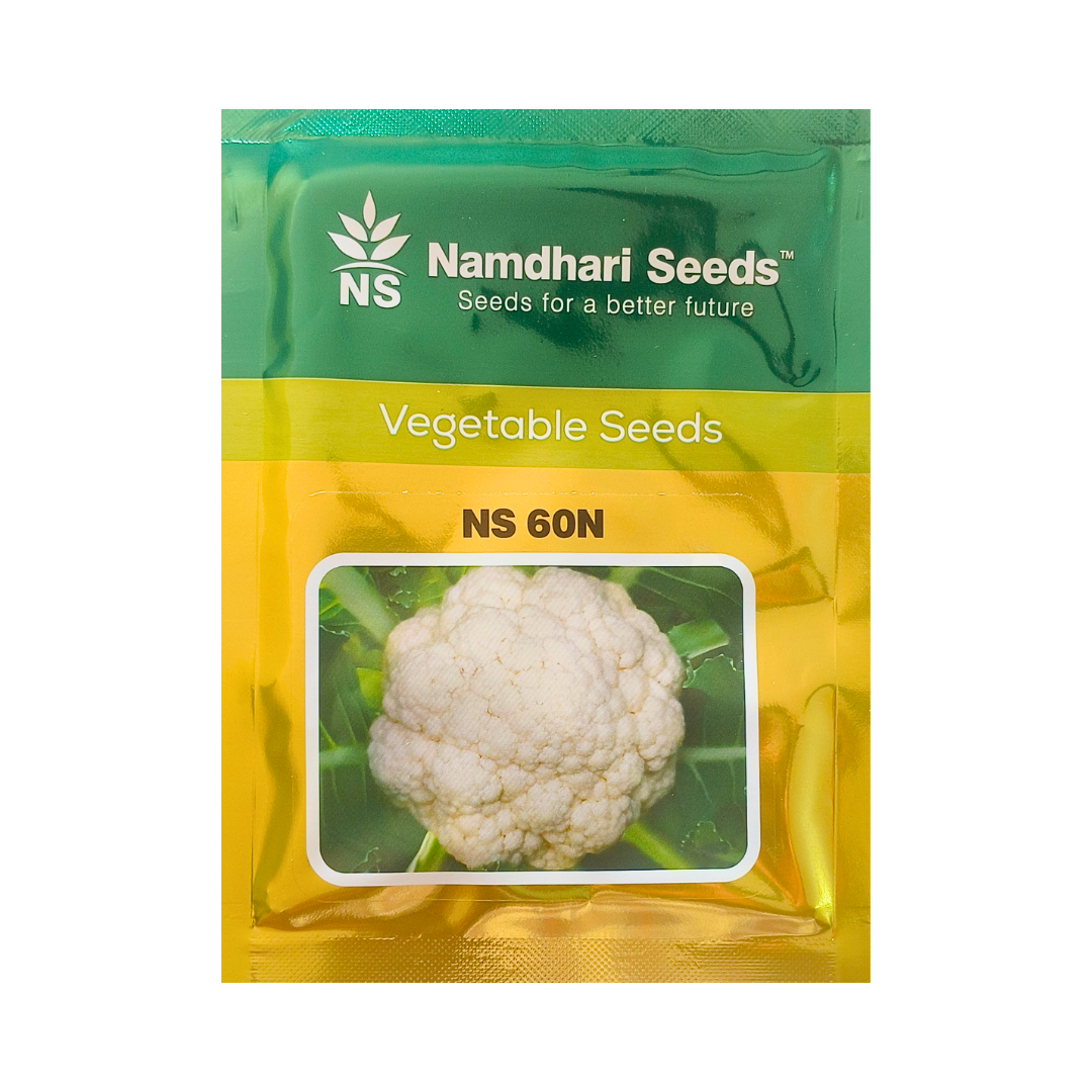 NS 60N Cauliflower Seeds - Namdhari | F1 Hybrid | Buy Online Now