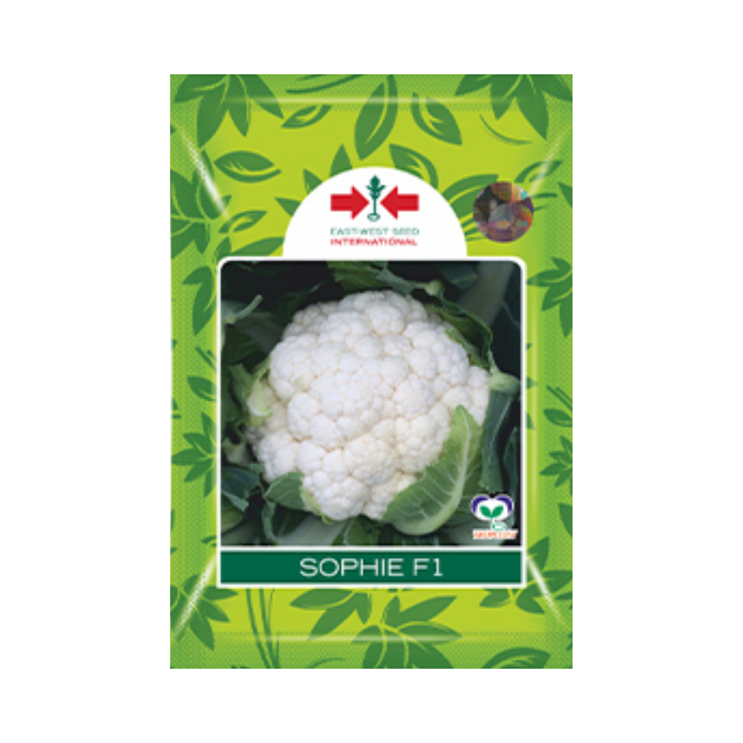 Sophie Cauliflower Seeds - East West | F1 Hybrid | Buy Online Now