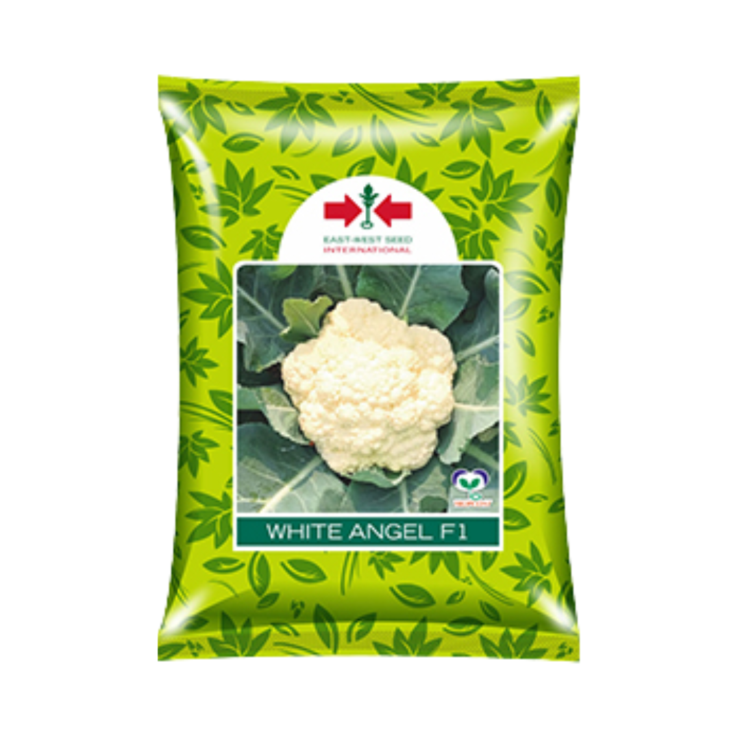 White Angel Cauliflower Seeds - East West | F1 Hybrid | Buy Online Now