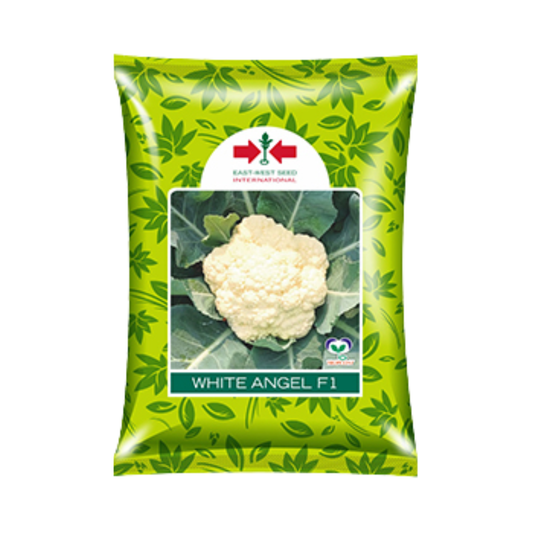 White Angel Cauliflower Seeds - East West | F1 Hybrid | Buy Online Now