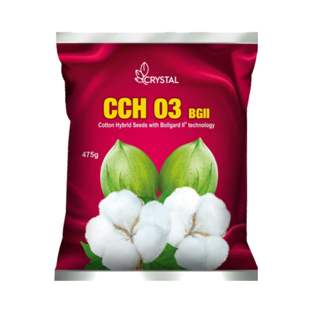 CCH 03 BG II Cotton Seeds - Crystal | F1 Hybrid | Buy Online Now