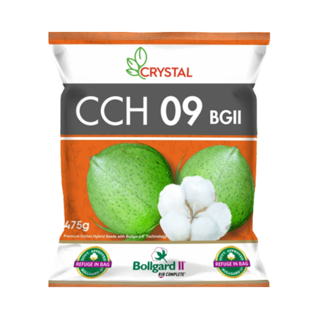 CCH 09 BG II Cotton Seeds - Crystal | F1 Hybrid | Buy Online Now
