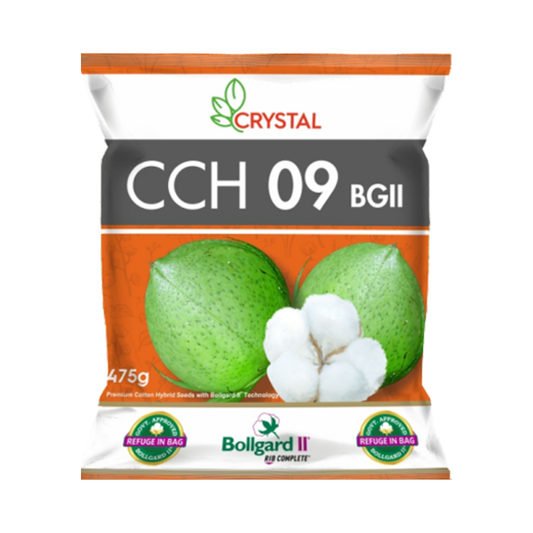 CCH 09 BG II Cotton Seeds - Crystal | F1 Hybrid | Buy Online Now