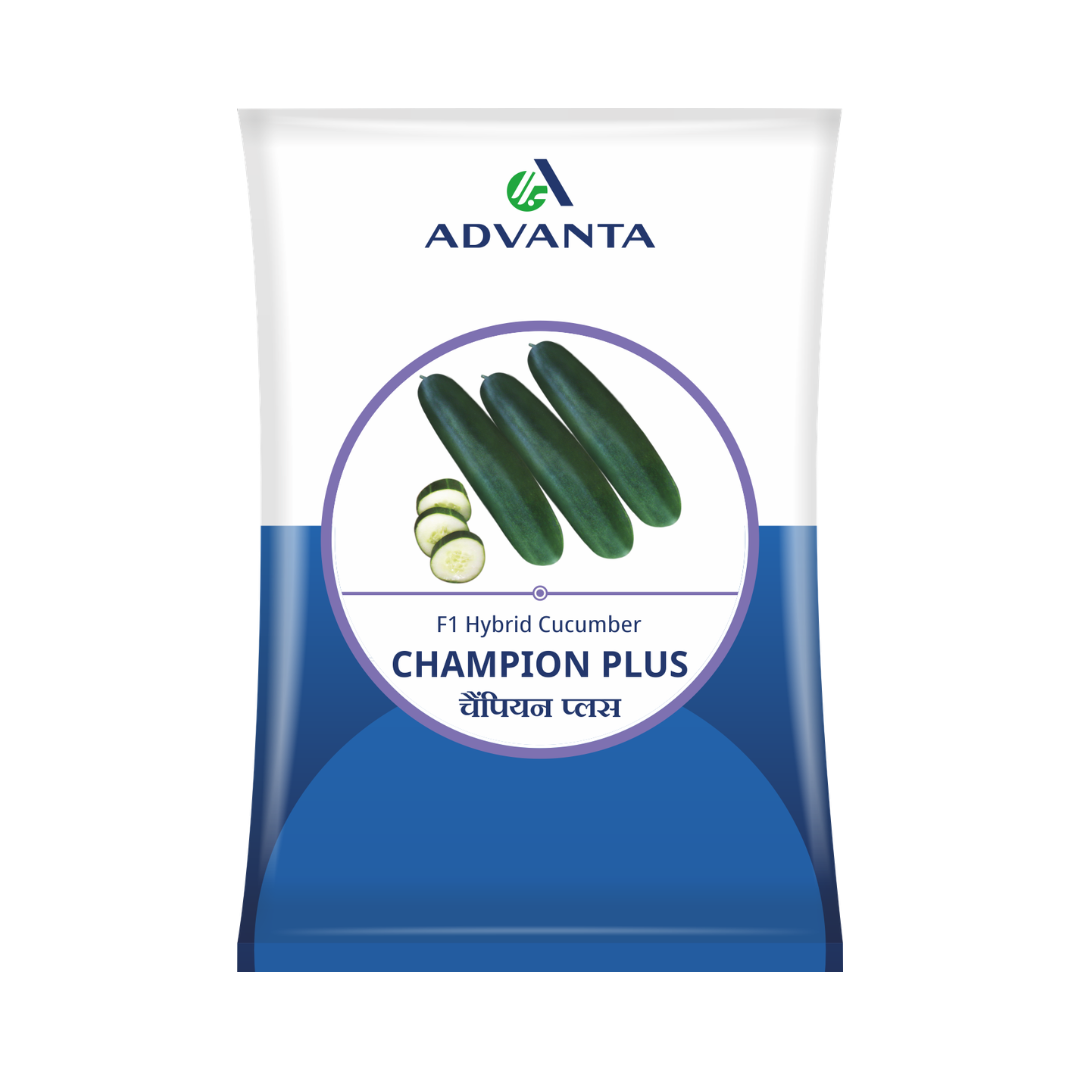 Champion Plus Cucumber Seeds - Advanta | F1 Hybrid | Buy Online at Best Price
