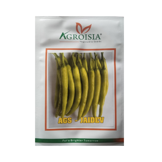 AGS-Jaidev Chilli Seeds - Agroisia | F1 Hybrid | Buy Online Now - DesiKheti