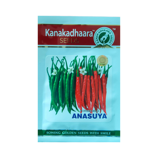 Anasuya Chilli Seeds - Kanakadhaara Seeds | F1 Hybrid | Buy Online Now