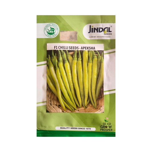 Apeksha Chilli Seeds - Jindal Seeds | F1 Hybrid | Buy Online Now
