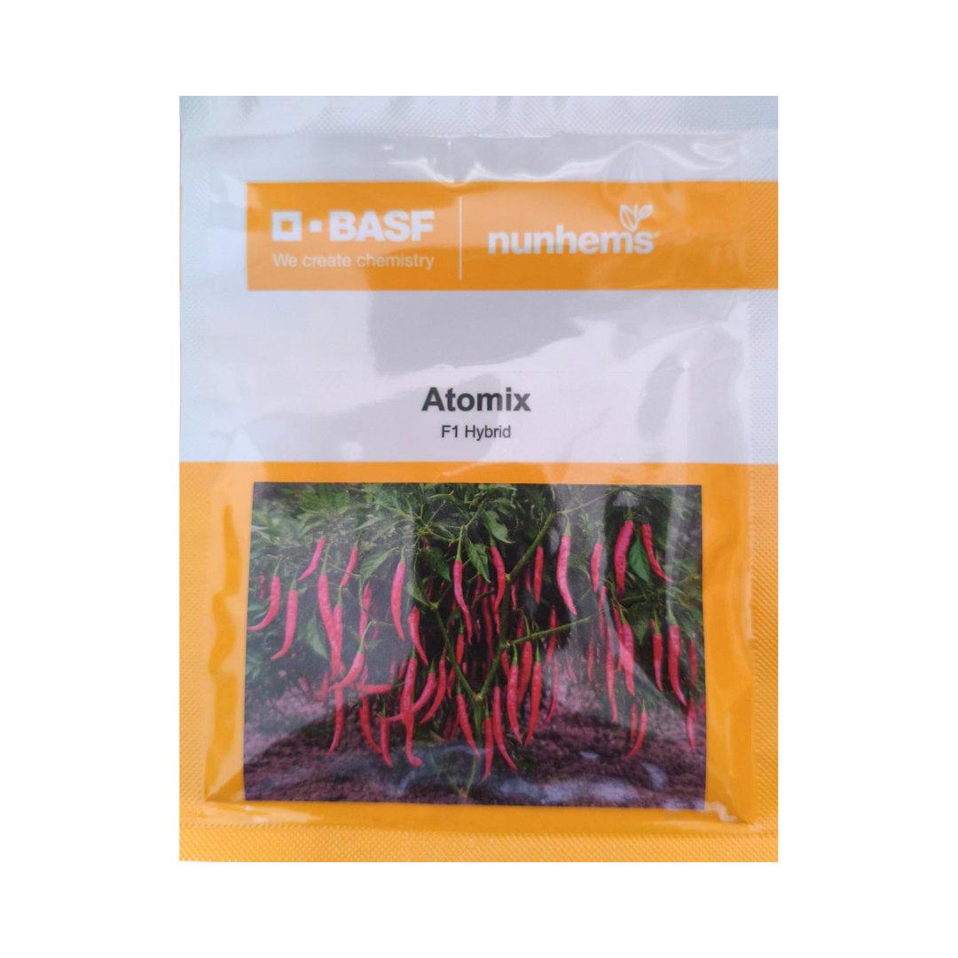 Atomix Chilli Seeds - Nunhems | F1 Hybrid | Buy Online at Best Price