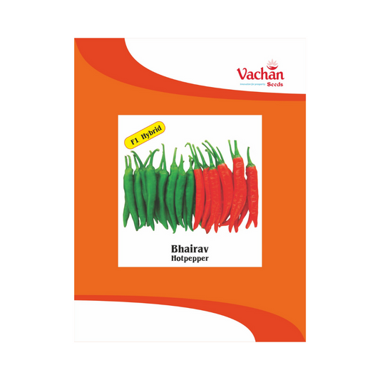 Bhairav Chilli Seeds - Vachan | F1 Hybrid | Buy Online Now - DesiKheti