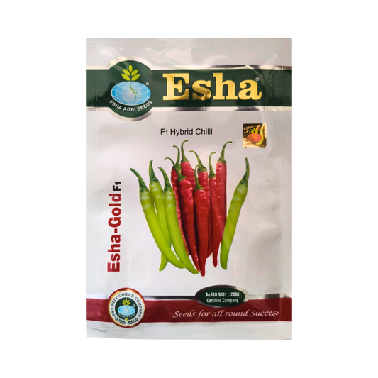 Esha Gold Chilli Seeds - Esha | F1 Hybrid | Buy Online at Best Price