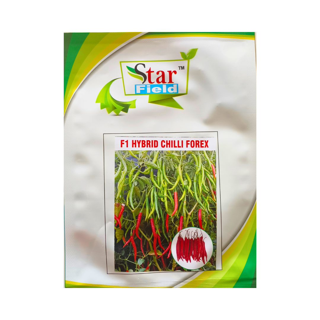 Forex Chilli Seeds - Star Field | F1 Hybrid | Online at Best Price Now