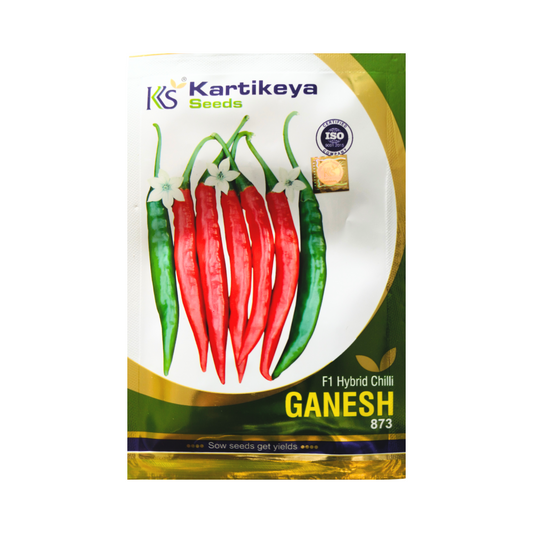 Ganesh Chilli Seeds - Karthikeya | F1 Hybrid | Buy Online - DesiKheti
