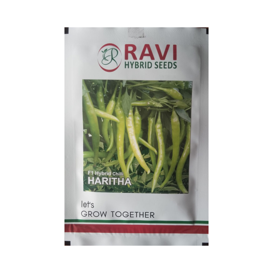 Haritha Chilli Seeds - Ravi Hybrid Seeds | F1 Hybrid | Buy Online