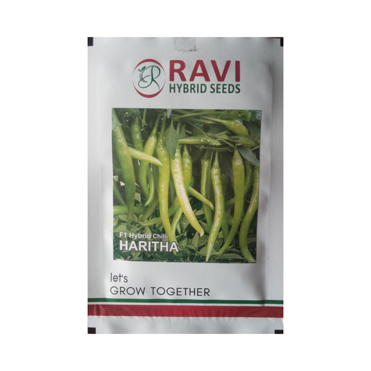Haritha Chilli Seeds - Ravi Hybrid Seeds | F1 Hybrid | Buy Online