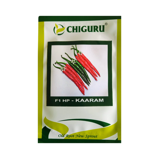 HP - Kaaram Chilli Seeds - Chiguru Seeds | F1 Hybrid | Buy Online Now