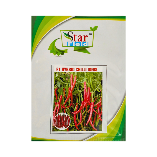 Ignis Chilli Seeds - Star Field | F1 Hybrid | Online at Best Price Now