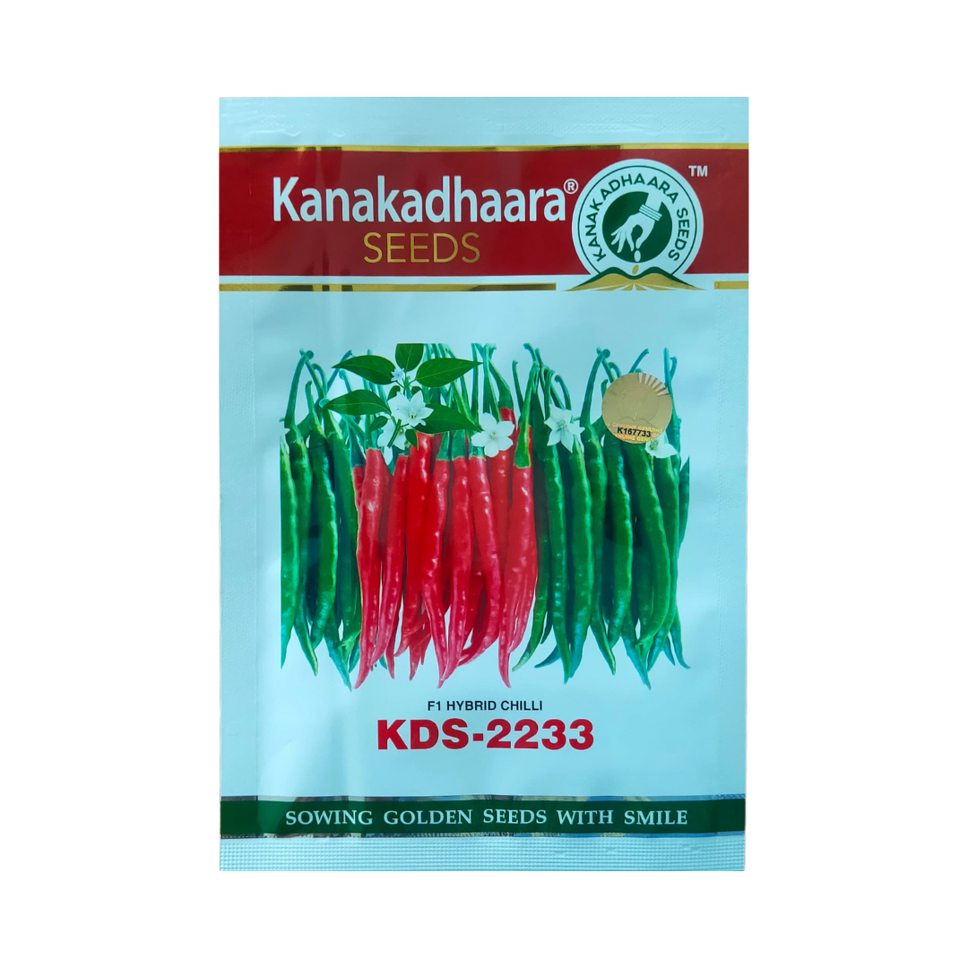 KDS - 2233 Chilli Seeds - Kanakadhaara Seeds | Buy Online - DesiKheti