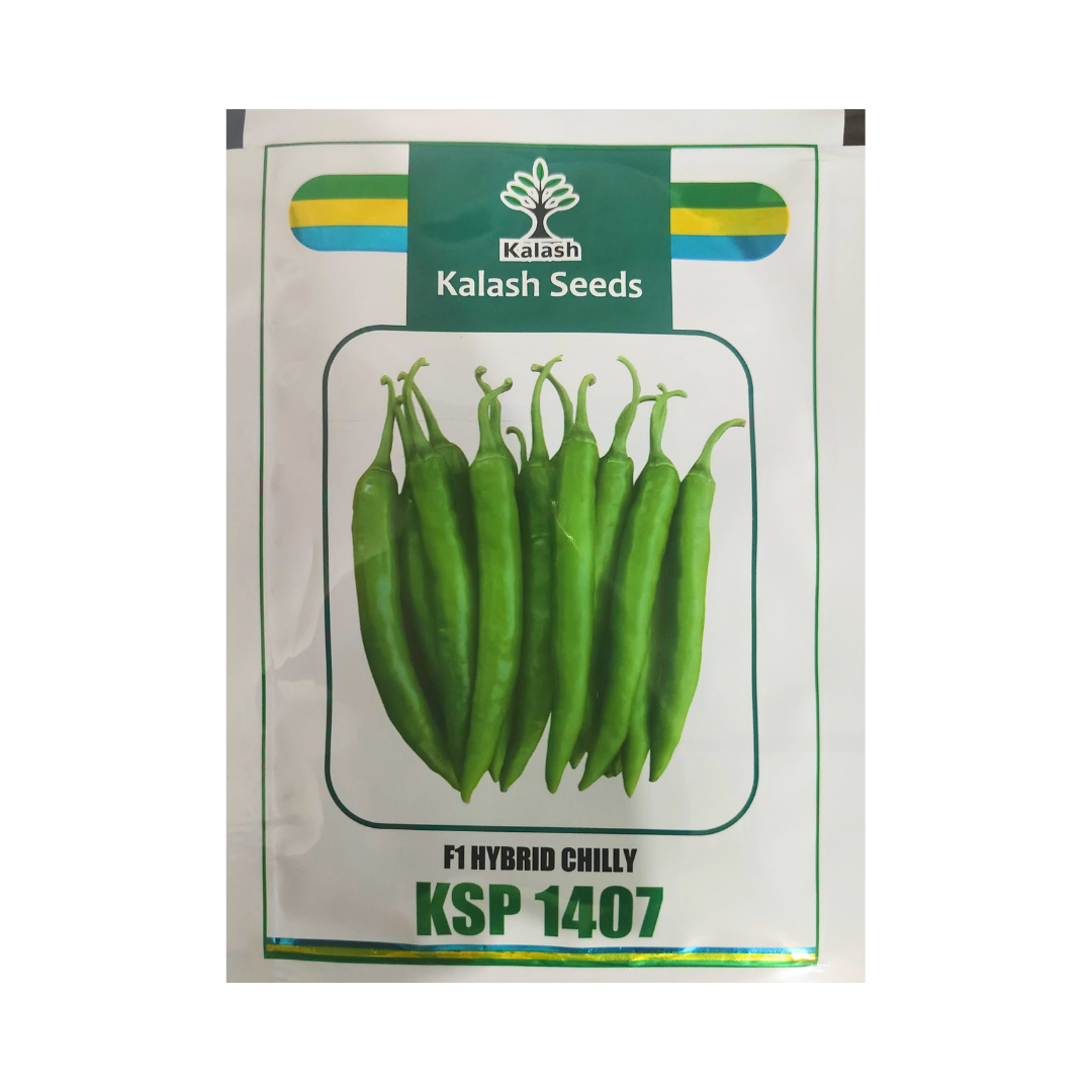 KSP 1407 Chilli Seeds - Kalash | F1 Hybrid | Buy Online at Best Price